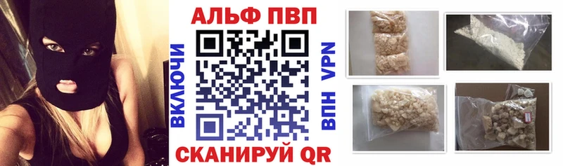 omg маркетплейс  Талдом  Alfa_PVP СК 